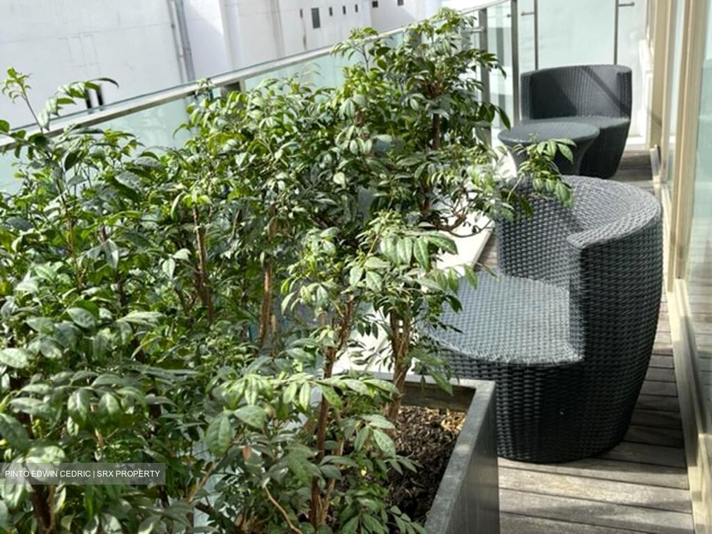 Scotts Square (D9), Apartment #611082771